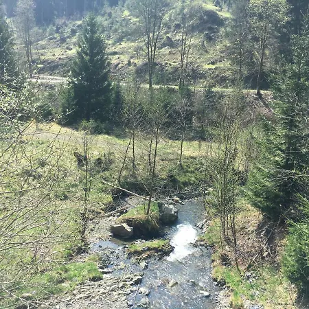Weitblick * Sankt Andreasberg